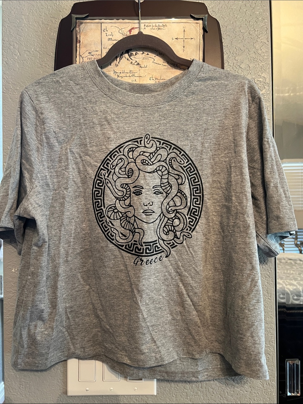 NWOTGray Greece Medusa Cropped Tee